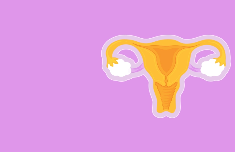 Менструация и гигиена